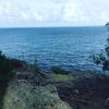 colstondevin24